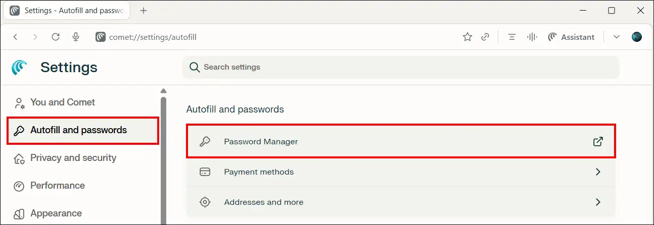 comet browser password manager